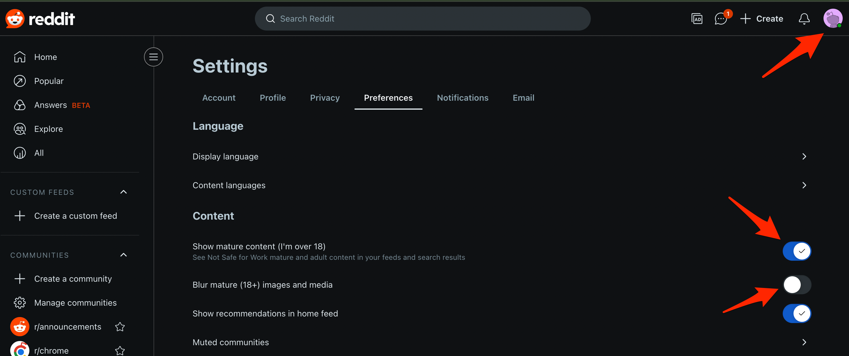 Ative Mostrar conteúdo maduro (Eu tenho mais de 18) e clique em Sim, eu tenho mais de 18