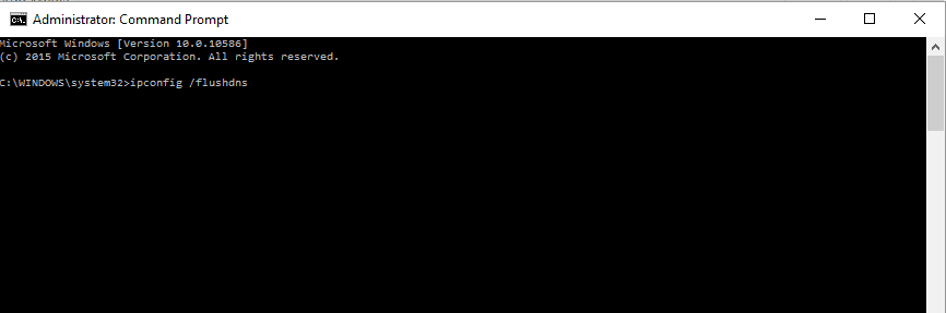 DNS 플러시