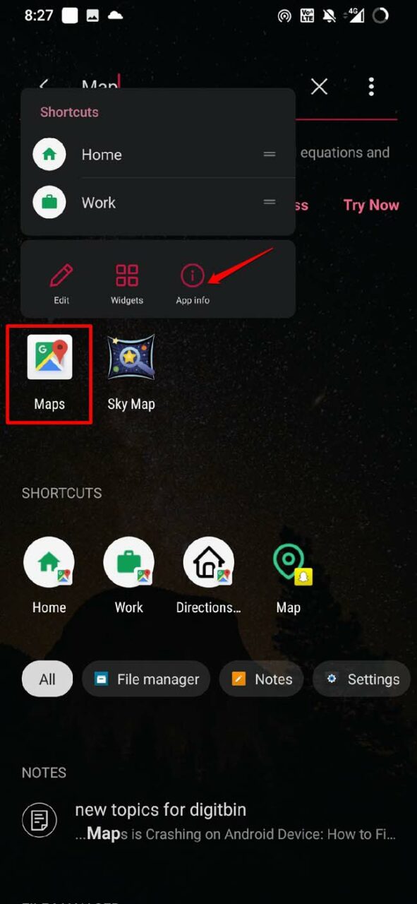 información de la aplicación Google Maps
