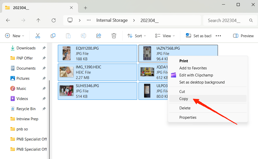 Wählen Sie die Dateien aus, die Sie übertragen möchten, und kopieren Sie sie an Ihren bevorzugten Speicherort auf dem PC. Wenn Sie ein vollständiges Backup erstellen möchten, können Sie alle Dateien auswählen und auf Ihren Computer kopieren.