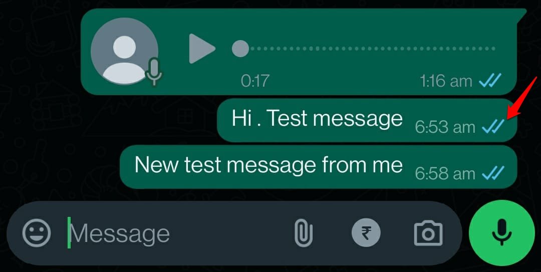 doble tick azul de mensaje de WhatsApp