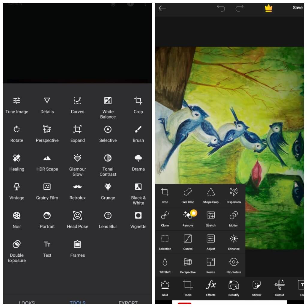Snapseed vs PicsArt