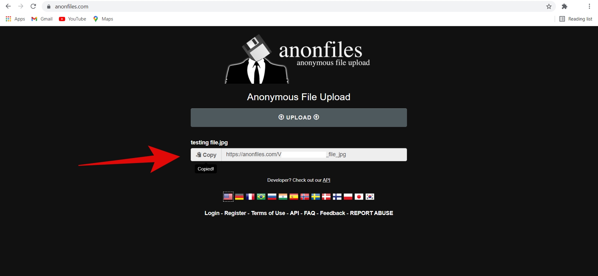 AnonFiles: 저평가되고 익명인 클라우드 스토리지 2
