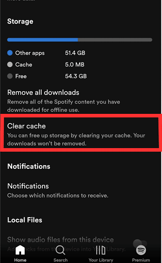Cancella Cache dell'App Spotify