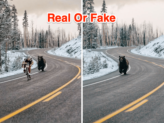 Ist dieses Bild echt oder fake