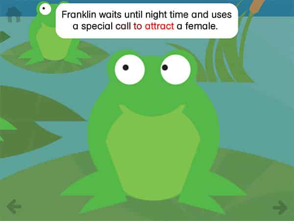 Gioielli iOS: Maschere Animali, Pitfall!, La Sorprese di Compleanno di Pooh + Rounds: Franklin Frog