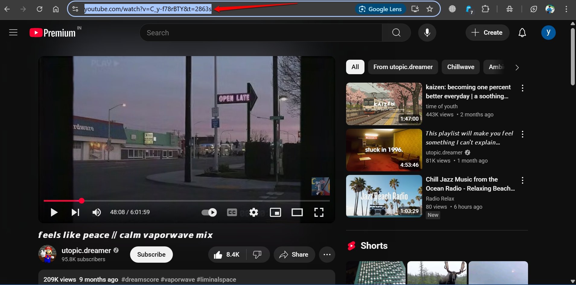 Copiar URL de YouTube