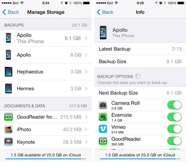 Schnell und klug Ihren iCloud-Fußabdruck reduzieren