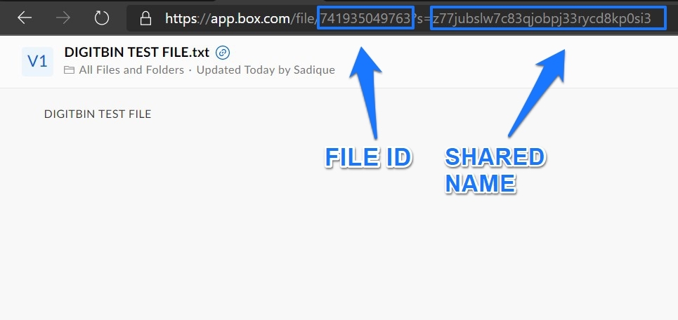Box angepasste URL