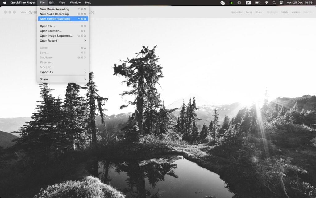 Capacités d'enregistrement de QuickTime Player