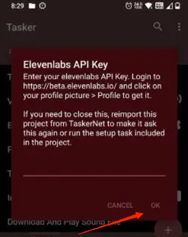 Fügen Sie den Eleven Labs API-Schlüssel in das Textfeld ein