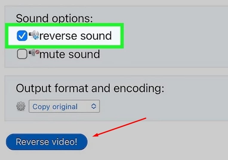 Wie man Audio auf Instagram umkehrt?