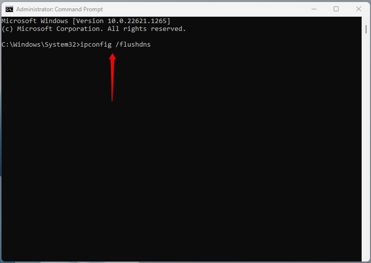 ipconfig flushdns - DNS 프로브 완료 인터넷 없음