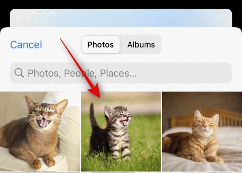 ステッカーとして使用したい写真を選択