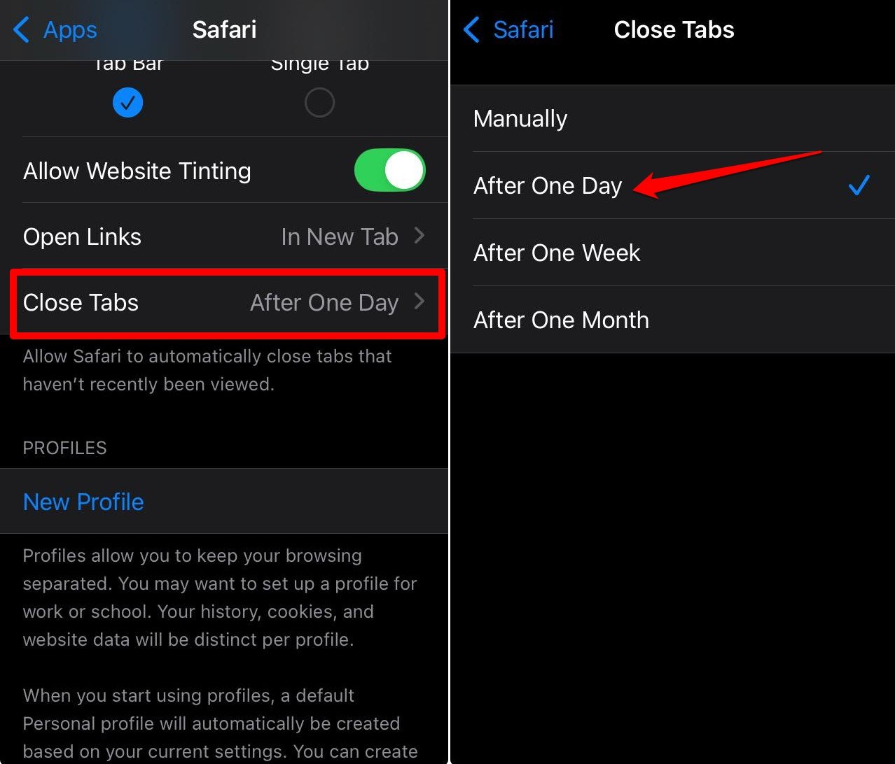 wie man ungenutzte offene Safari-Tabs automatisch auf dem iPhone schließt