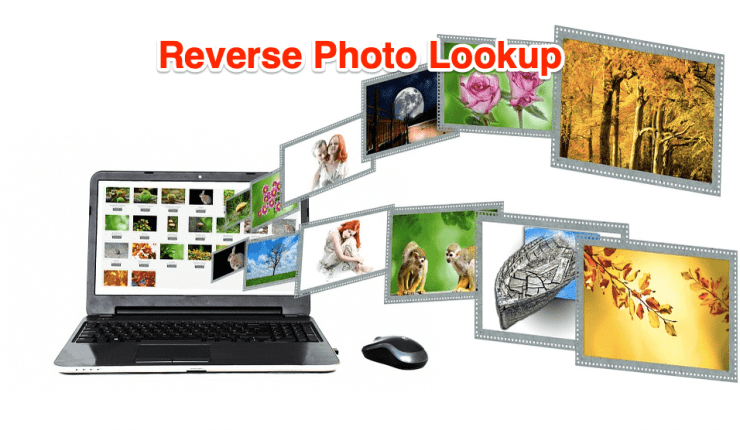 Recherche photo inversée