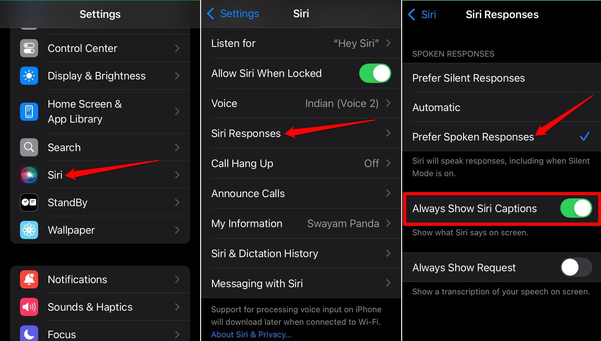 ativar respostas faladas da Siri no iPhone