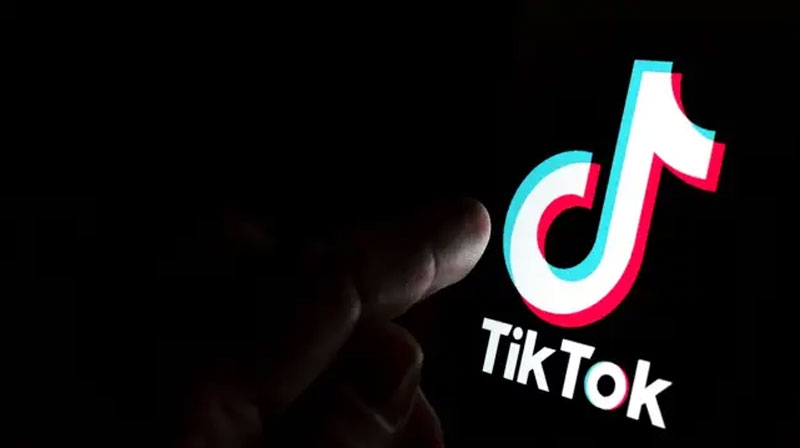 ¿Por qué no puedes ver quién guardó tus videos de TikTok?