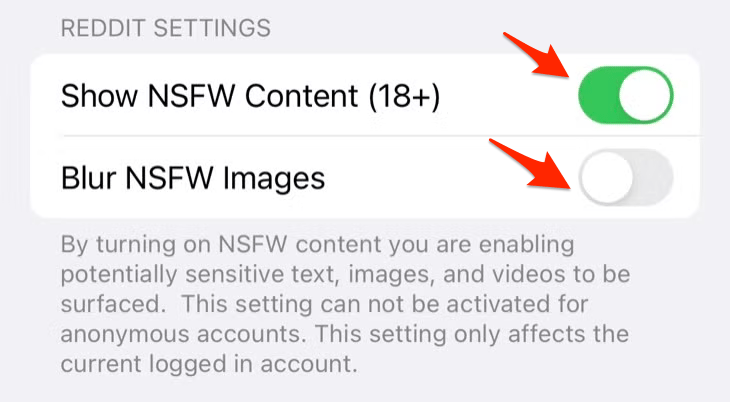 Ative o interruptor ao lado de Mostrar Conteúdo NSFW (18+)