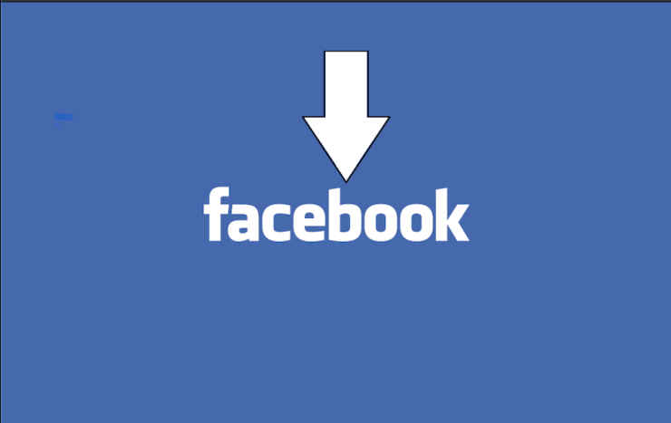 Facebook Downloader App