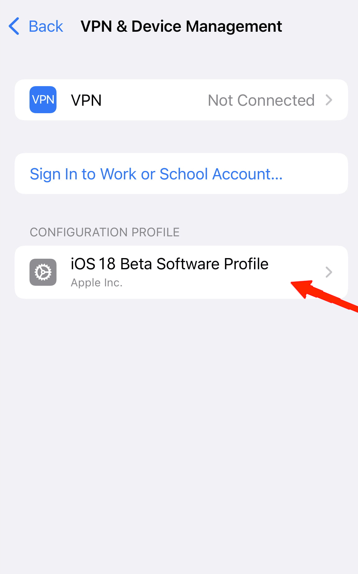 Suchen Sie das iOS 18 Beta-Profil und tippen Sie darauf.