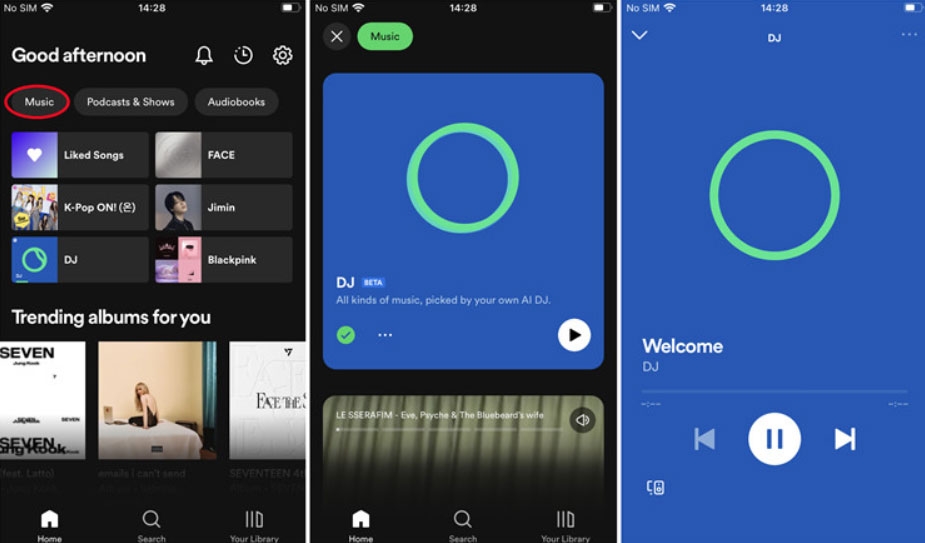 Verificar si la función está habilitada en tu cuenta - Spotify DJ no aparece