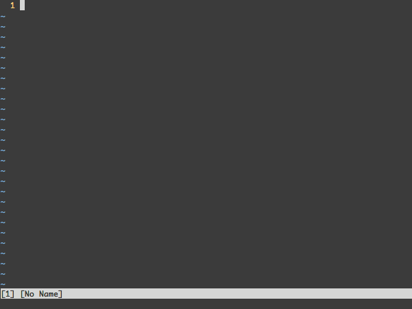 Instalador de VIM Plug