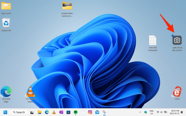 Risolvi l'icona 'Scopri di più su questa immagine' in Windows 11