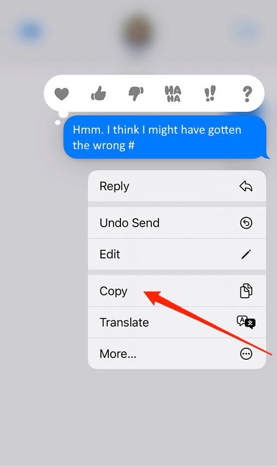 copia messaggio di testo su iPhone