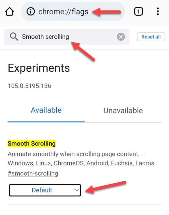 Disabilita lo Scorrimento Fluido - Problemi di schermata del Chromebook