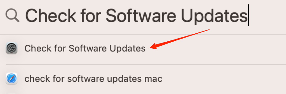 Ouvrez la recherche Spotlight sur votre Mac et recherchez 'Vérifier les mises à jour logicielles.'