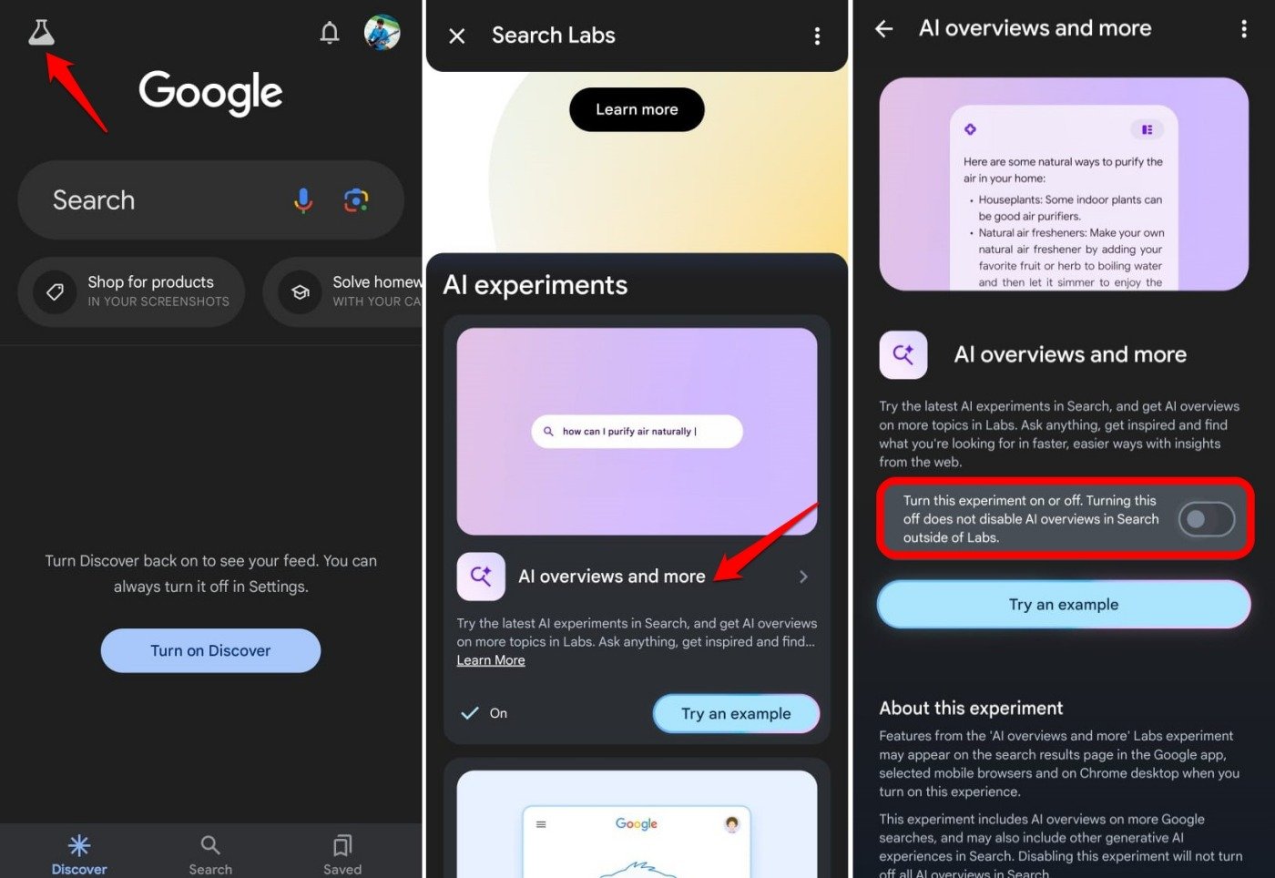 cómo desactivar la vista general de IA de Google