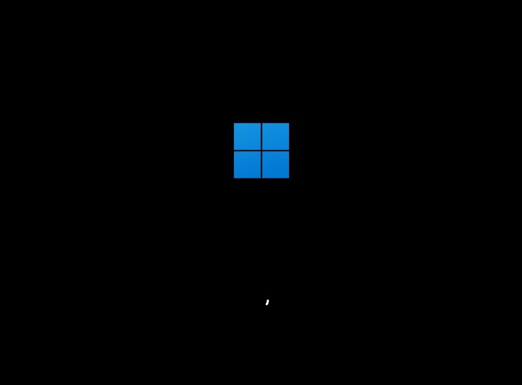 Tiny11 Installation