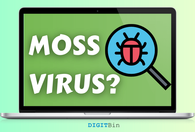 Was ist Moss Malware und wie entfernt man sie?