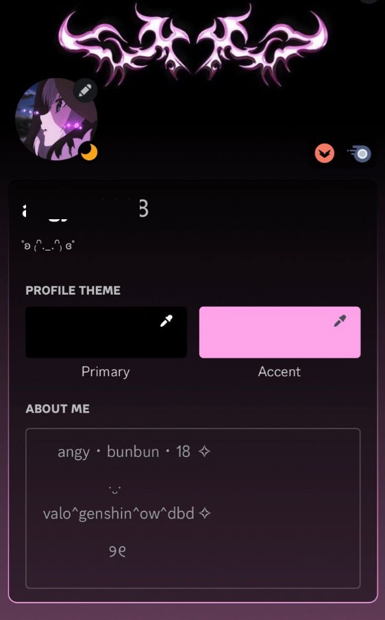 Cambiar el Tema en la Web - El Tema del Perfil de Discord No se Guarda