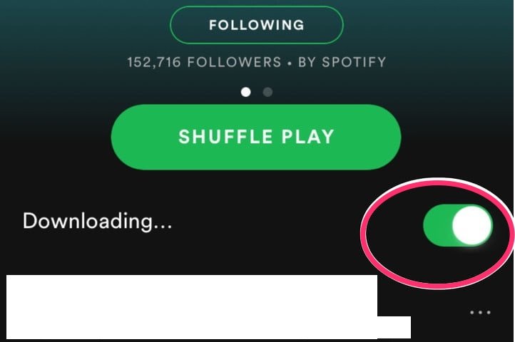 download songs from Spotify