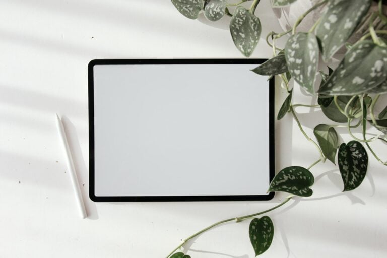 iPad
