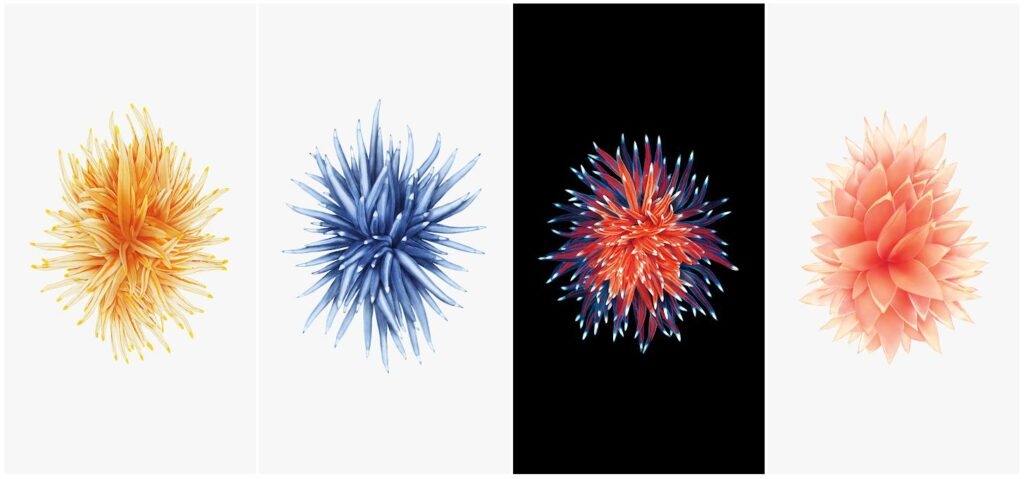 Обои iPhone SE - Официальные обои iOS