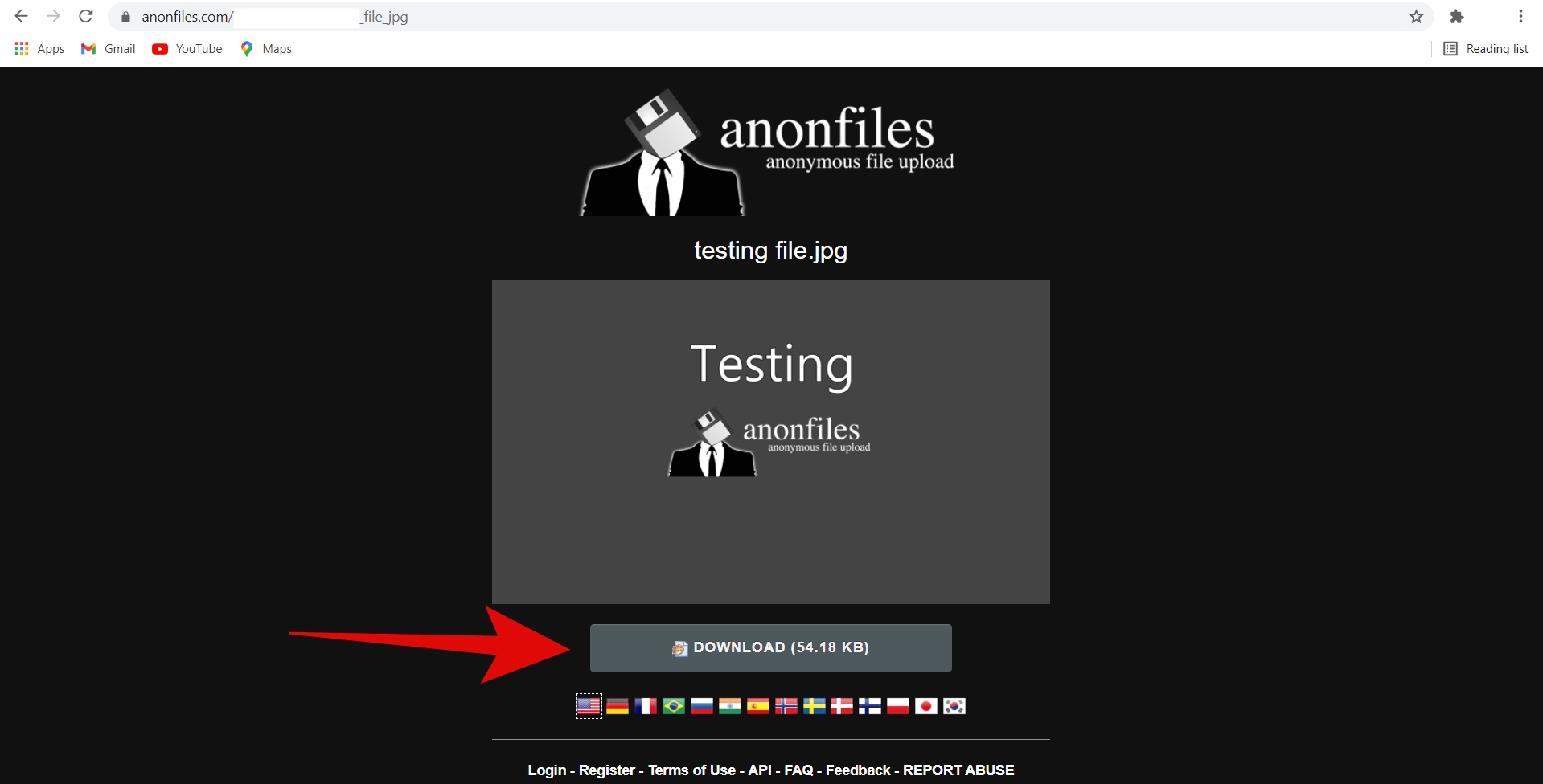 AnonFiles: 저평가되고 익명인 클라우드 스토리지 3