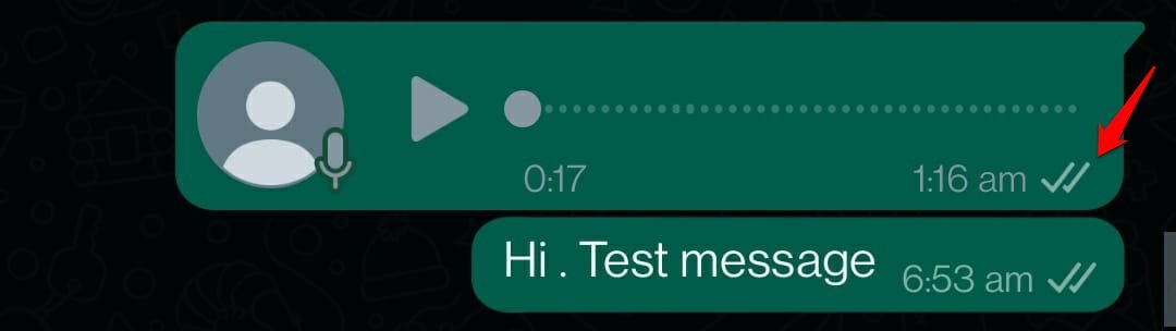 significado del doble tick gris de mensaje de WhatsApp