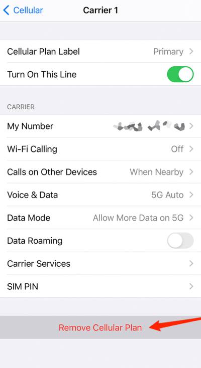 cancellazione e-sim iphone