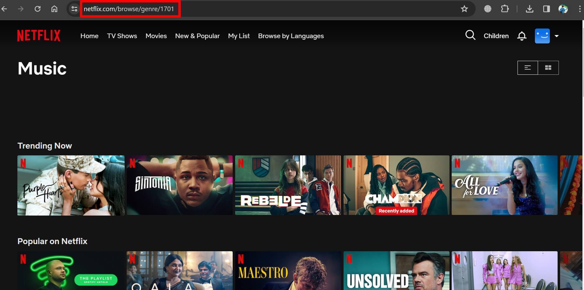 Netflixの音楽ショー