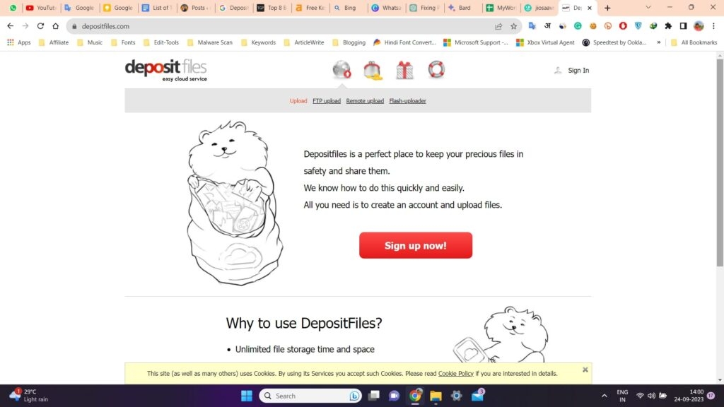 DepositFiles - Migliori alternative ad Anonfiles
