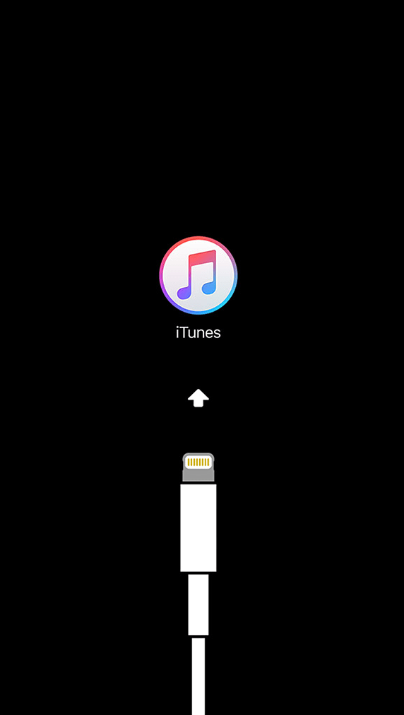Verwenden Sie ein USB-Kabel, um Ihr iPhone mit dem Computer zu verbinden.