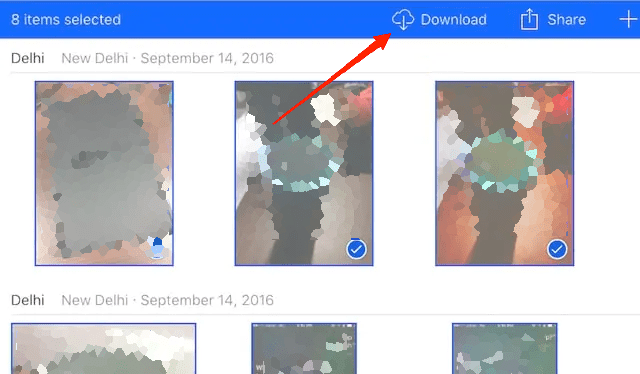 Nachdem Sie die gewünschten Fotos ausgewählt haben, klicken Sie auf die Schaltfläche Download, um sie auf Ihrem PC zu speichern.