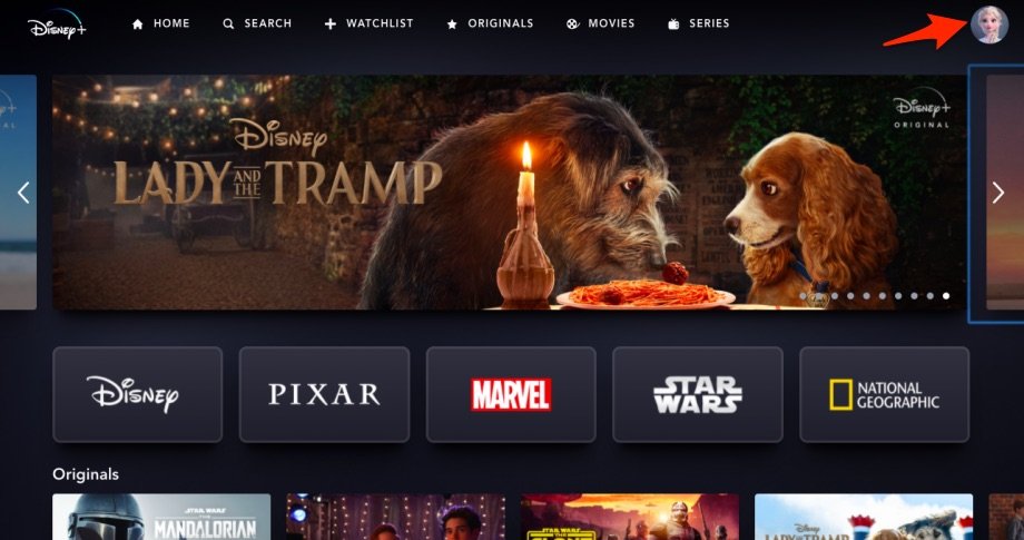 Cuenta de Disney Plus