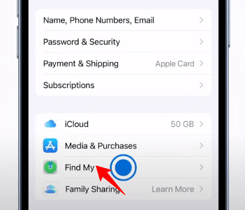 Öffnen Sie „Mein iPhone suchen“