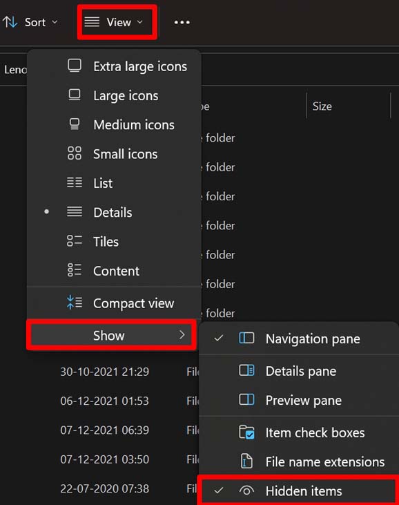 abilita la visualizzazione degli elementi nascosti su Windows PC