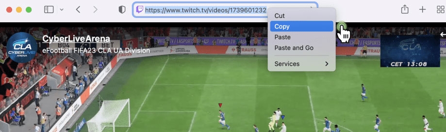 Как скачать видео с Twitch с помощью сторонних приложений