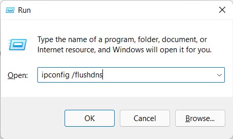 DNS-Cache in Windows 11 über Ausführen leeren